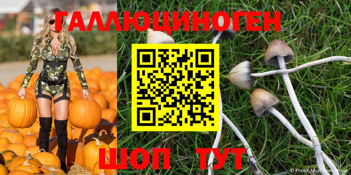 Клинцы  Псилоцибиновые грибы Magic Shrooms  Псилоцибиновые грибы Magic Shrooms  где найти   Вход с VPN 