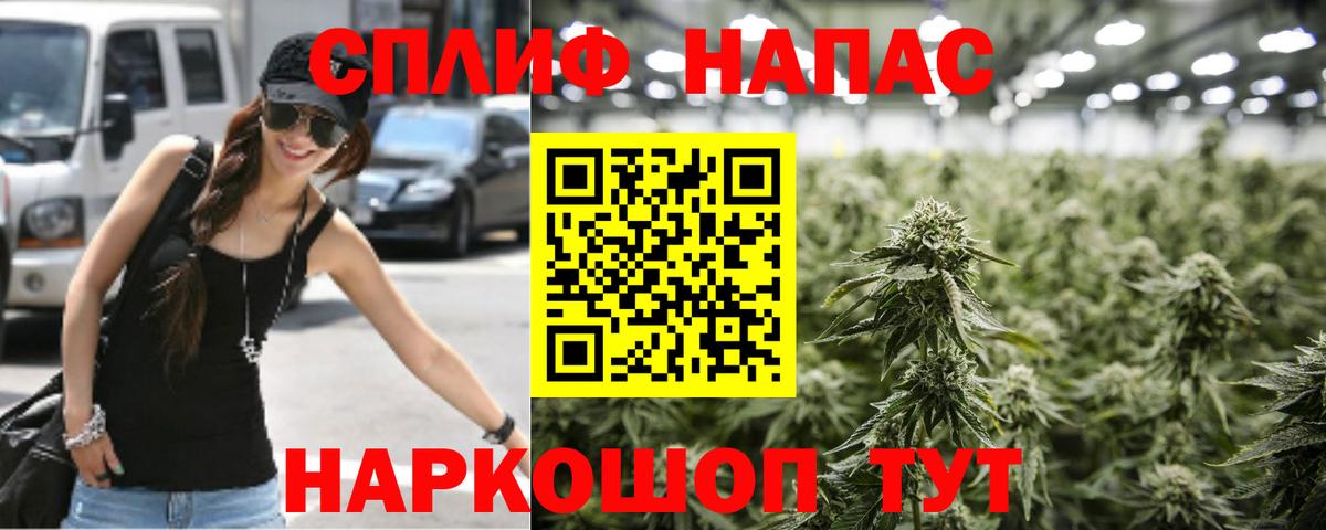 Шишки марихуана конопля Клинцы